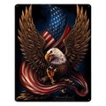 Keen 18 x 12 in. Eagle & Flag Satin Metal Sign KE1124324